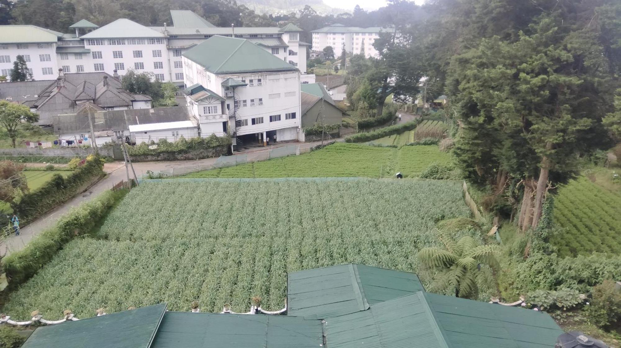 Nuwara Eliya Luxury Apartment Экстерьер фото